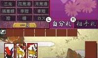 1500 DS Spirits Vol. 5 – Hanafuda (Japan)