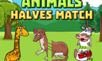 Animals Halves Match