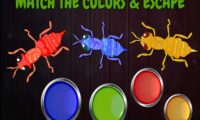 Ants: Tap Tap Color Ants