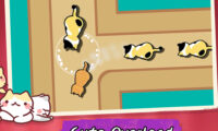 Cat Freeway