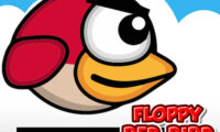 Floppy Red Bird