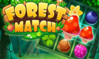 Forest Match