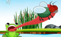 Hungry Frog