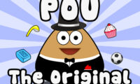 Pou pet