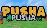 Pusha Pusha