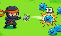 Shinobi Swarm