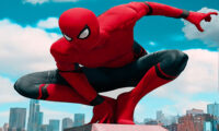 sipderman skate