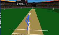 Stick Cricket