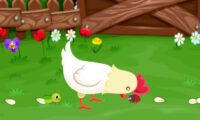 Stupid Chicken