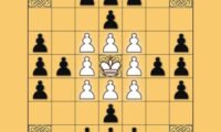 Tafl: viking chess