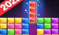 Tetris Puzzle Blocks