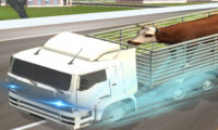 Wild Animal Transport Truck