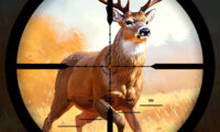 Wild Hunting Clash