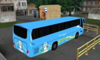 City Bus Driver