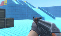 Multiplayer
