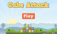 Cube Attack