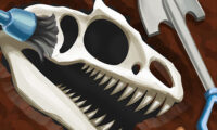 Dino Quest – Dig & Discover Dinosaur Fossil & Bone