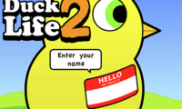 DuckLife2: World Champion