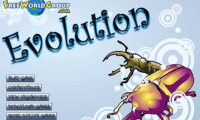 Evolution