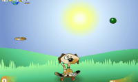 Frisbee Dog