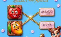 Matching Pair Game