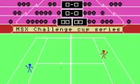 Play 3D Tennis