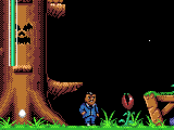 Play Addams Family, The (USA, Europe)
