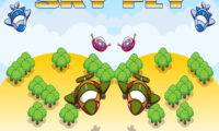 Sky Fly