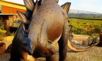 Stegosaurus Dinosaur Jigsaw