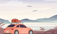Summer Cars Memory