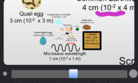 The Scale of the Universe