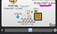 The Scale of the Universe