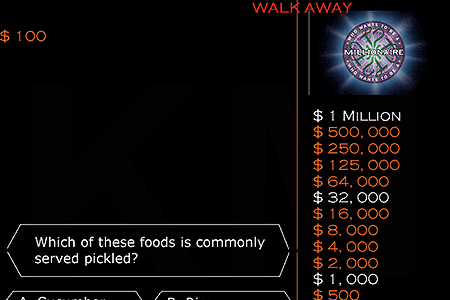 Who Wants To Be A Millionaire?