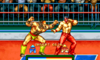 3 Count Bout / Fire Suplex (NGM-043)
