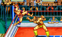 3 Count Bout / Fire Suplex (NGM-043)(NGH-043)