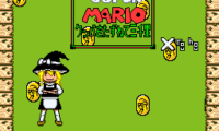 3000 Leagues in Search of Bowser – Touhou Edition (English) (V2.54)