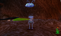 A Bug’s Life