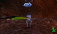 A Bug’s Life
