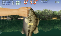 Action Bass