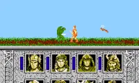 Advanced Dungeons &amp; Dragons – Dragons of Flame (Japan)