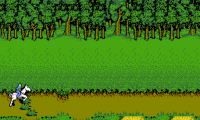 Advanced Dungeons & Dragons – Hillsfar (Japan)
