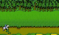 Advanced Dungeons &amp; Dragons – Hillsfar (Japan)