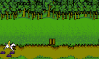 Advanced Dungeons & Dragons – Hillsfar (USA)