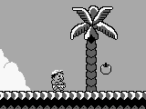 Adventure Island (USA, Europe)