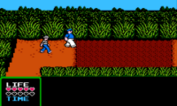 Adventures of Gilligan’s Island, The (USA)