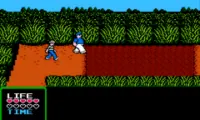 Adventures of Gilligan’s Island, The (USA)