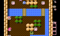 Adventures of Lolo (USA)