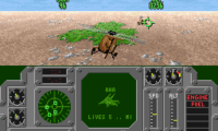 Air Cavalry (Europe)