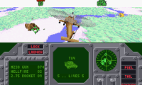 Air Cavalry (USA)