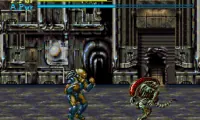 Alien vs. Predator (USA)